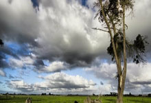 [中超]第8轮：上海海港1-1上海申花 集锦.