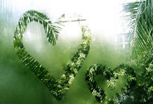 [中超]第8轮：上海海港1-1上海申花 集锦.