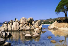 虎扑体育：每体：特尔施特根想赶及复出踢欧冠决赛，但注册.